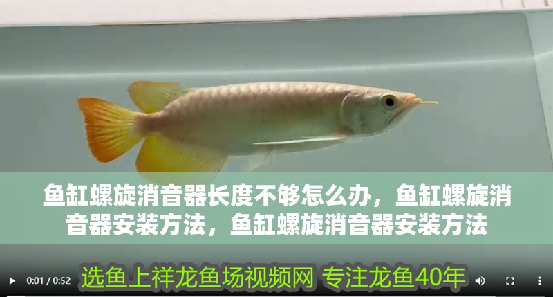 魚缸螺旋消音器長度不夠怎么辦，魚缸螺旋消音器安裝方法，魚缸螺旋消音器安裝方法
