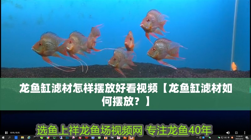 龍魚缸濾材怎樣擺放好看視頻【龍魚缸濾材如何擺放？】