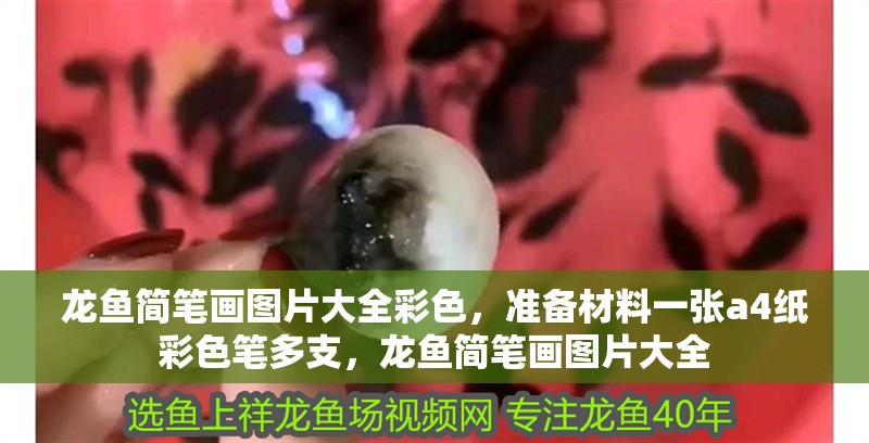 龍魚簡筆畫圖片大全彩色，準備材料一張a4紙彩色筆多支，龍魚簡筆畫圖片大全
