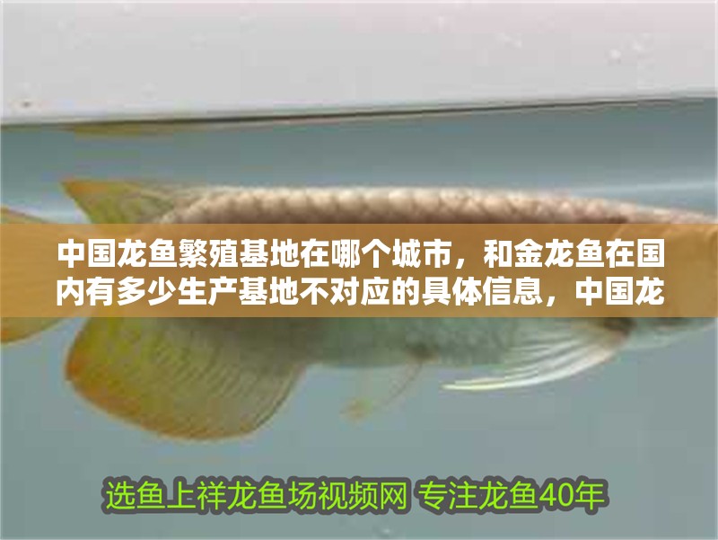 中國龍魚繁殖基地在哪個城市，和金龍魚在國內(nèi)有多少生產(chǎn)基地不對應(yīng)的具體信息，中國龍魚繁殖基地在哪個城市