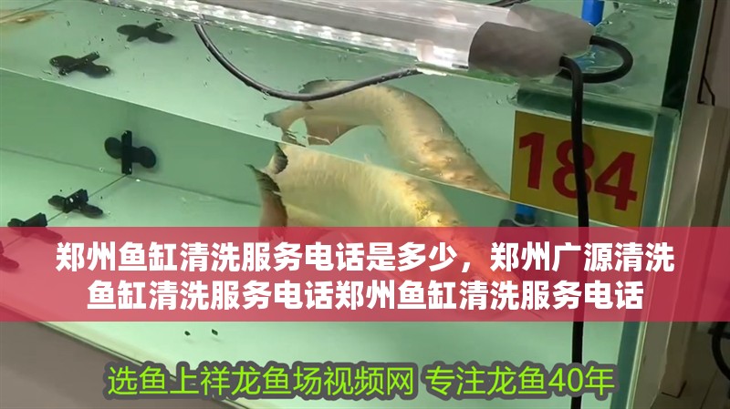 鄭州魚缸清洗服務電話是多少，鄭州廣源清洗魚缸清洗服務電話鄭州魚缸清洗服務電話