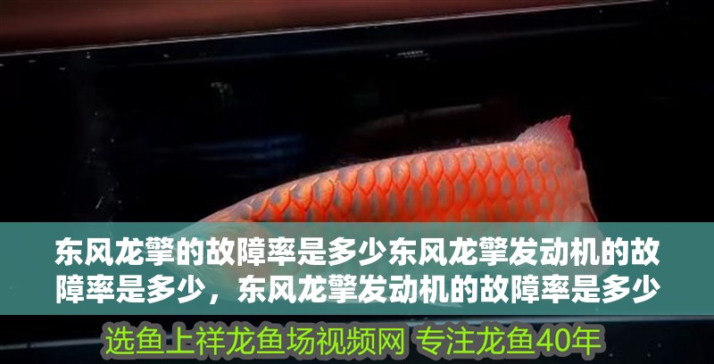 東風龍擎的故障率是多少東風龍擎發動機的故障率是多少，東風龍擎發動機的故障率是多少東風龍擎發動機故障率是多少