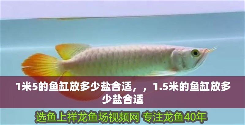 1米5的魚缸放多少鹽合適，，1.5米的魚缸放多少鹽合適
