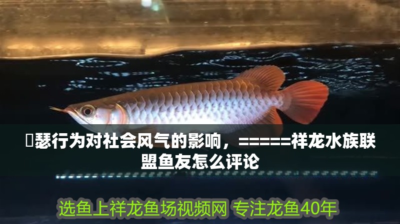 嘚瑟行為對社會風氣的影響，=====祥龍水族聯盟魚友怎么評論