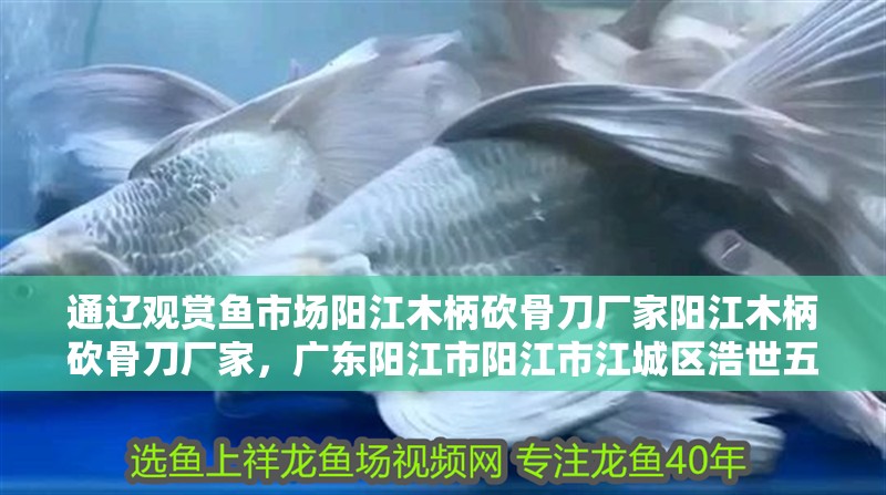 通遼觀賞魚市場陽江木柄砍骨刀廠家陽江木柄砍骨刀廠家，廣東陽江市陽江市江城區浩世五金制品