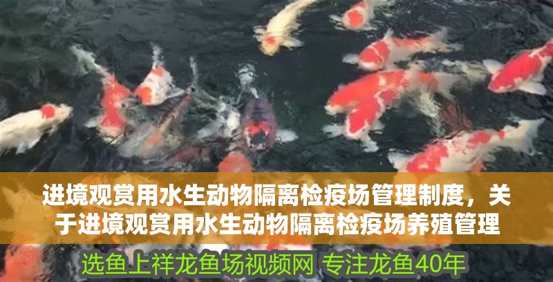 進境觀賞用水生動物隔離檢疫場管理制度，關于進境觀賞用水生動物隔離檢疫場養殖管理