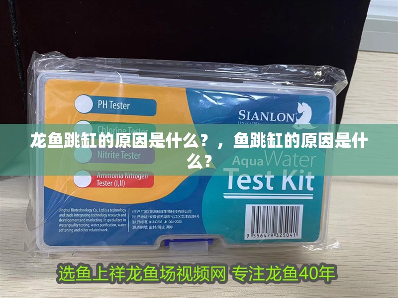 龍魚跳缸的原因是什么？，魚跳缸的原因是什么？