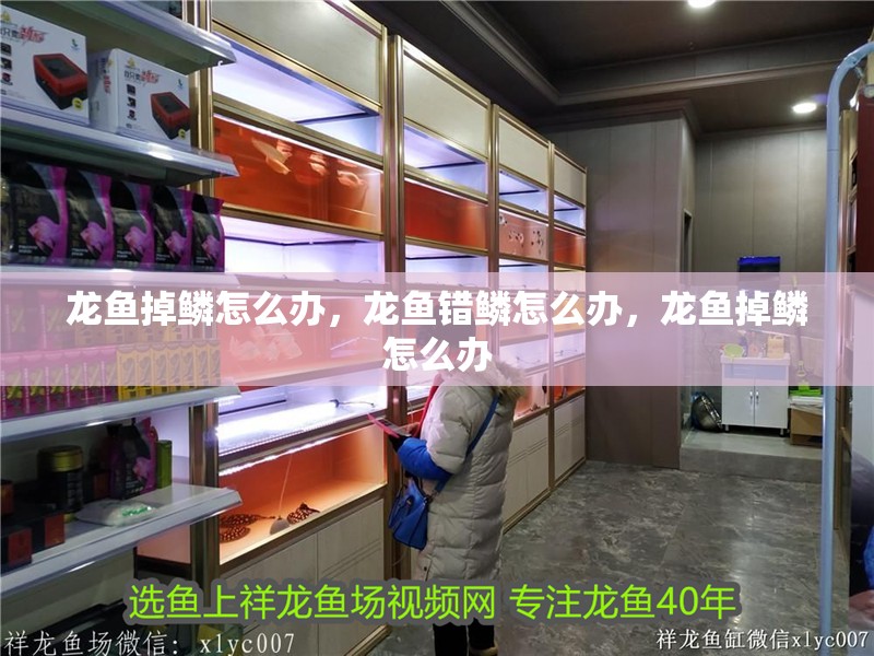 龍魚掉鱗怎么辦，龍魚錯鱗怎么辦，龍魚掉鱗怎么辦