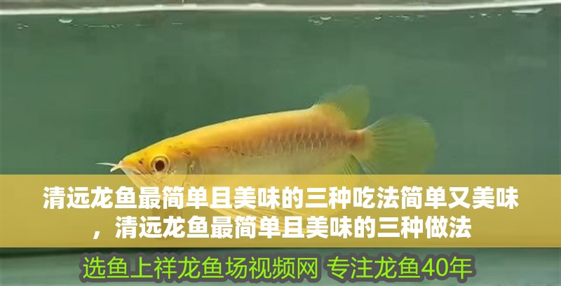 清遠(yuǎn)龍魚(yú)最簡(jiǎn)單且美味的三種吃法簡(jiǎn)單又美味，清遠(yuǎn)龍魚(yú)最簡(jiǎn)單且美味的三種做法