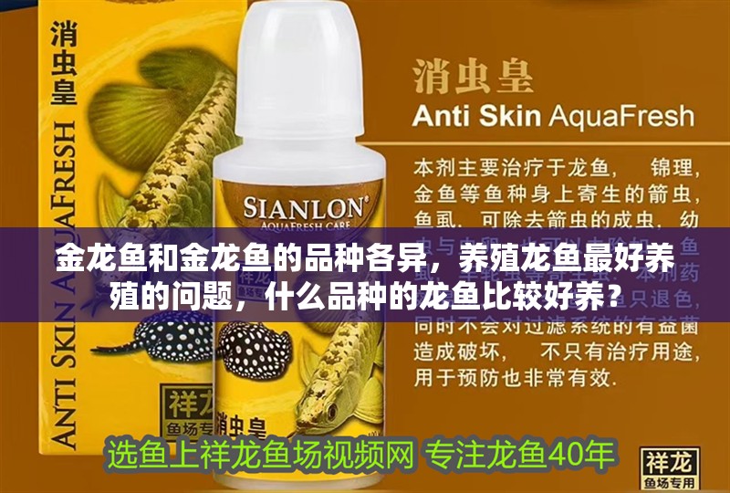 金龍魚和金龍魚的品種各異，養殖龍魚最好養殖的問題，什么品種的龍魚比較好養？
