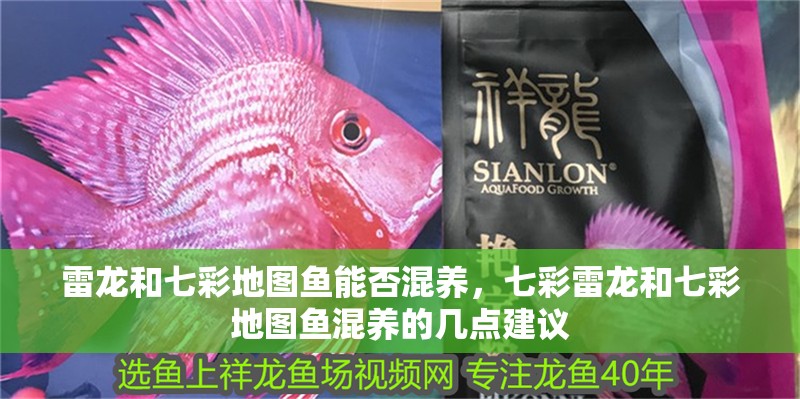 雷龍和七彩地圖魚能否混養，七彩雷龍和七彩地圖魚混養的幾點建議