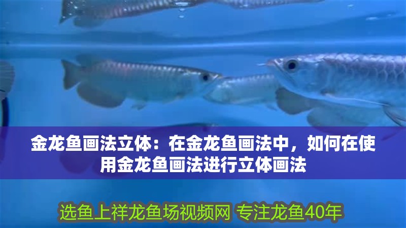 金龍魚畫法立體：在金龍魚畫法中，如何在使用金龍魚畫法進行立體畫法