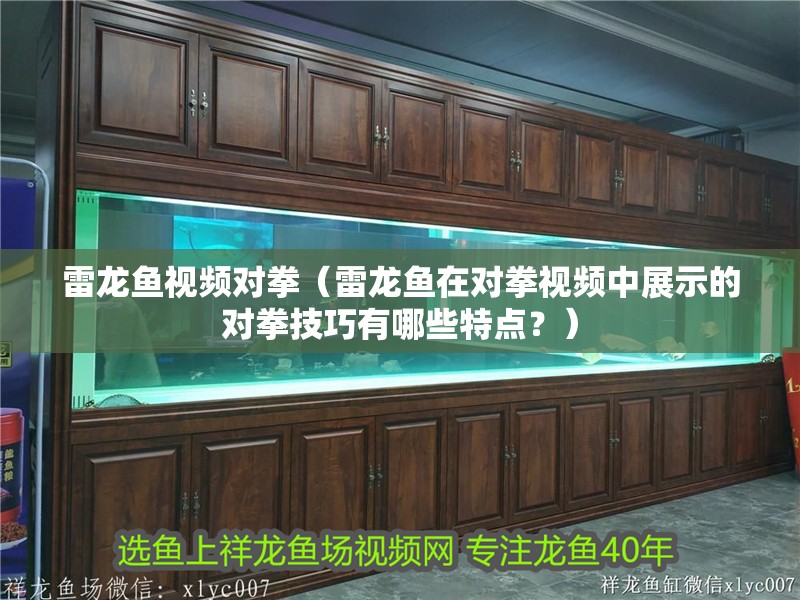 雷龍魚視頻對拳（雷龍魚在對拳視頻中展示的對拳技巧有哪些特點？）