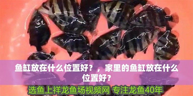 魚缸放在什么位置好？，家里的魚缸放在什么位置好？