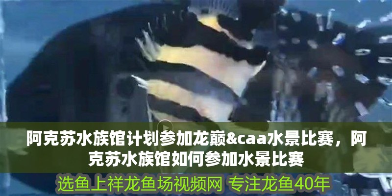 阿克蘇水族館計(jì)劃參加龍巔&caa水景比賽，阿克蘇水族館如何參加水景比賽
