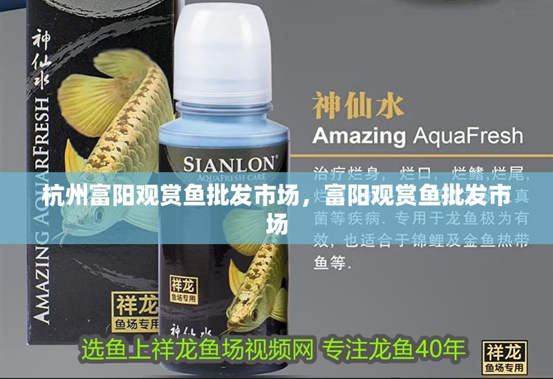 杭州富陽觀賞魚批發市場，富陽觀賞魚批發市場