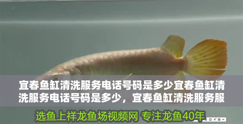 宜春魚缸清洗服務電話號碼是多少宜春魚缸清洗服務電話號碼是多少，宜春魚缸清洗服務服務電話號碼是多少啊