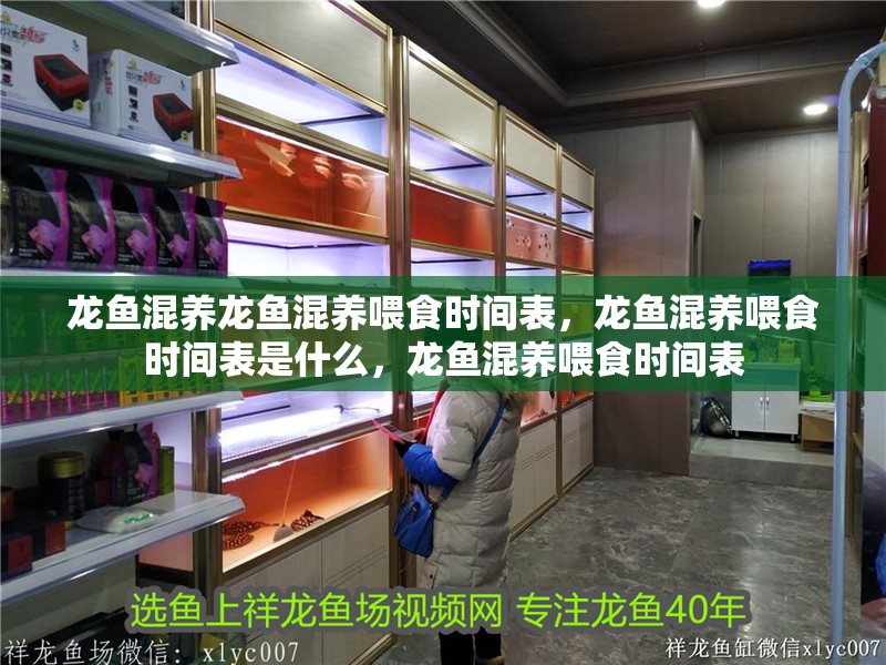 龍魚混養(yǎng)龍魚混養(yǎng)喂食時間表，龍魚混養(yǎng)喂食時間表是什么，龍魚混養(yǎng)喂食時間表