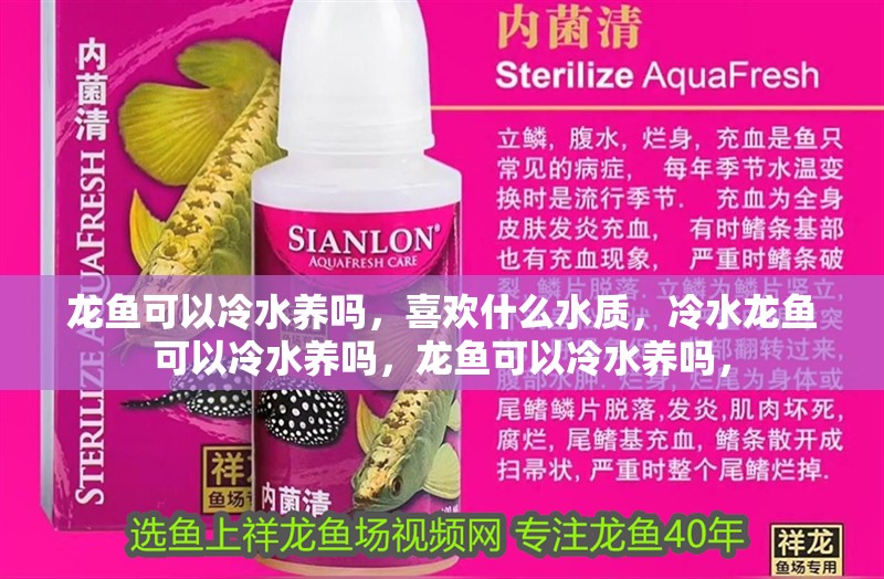 龍魚可以冷水養(yǎng)嗎，喜歡什么水質(zhì)，冷水龍魚可以冷水養(yǎng)嗎，龍魚可以冷水養(yǎng)嗎，