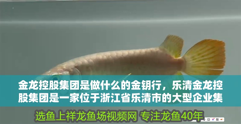 金龍控股集團是做什么的金鑰行，樂清金龍控股集團是一家位于浙江省樂清市的大型企業集團