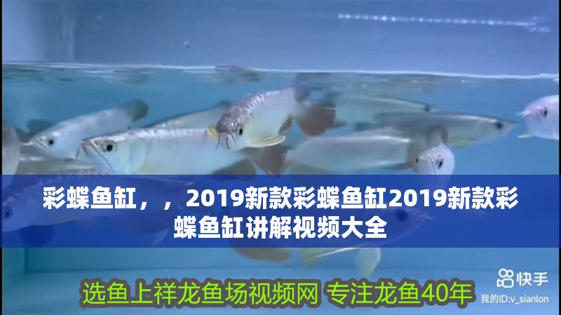 彩蝶魚缸，，2019新款彩蝶魚缸2019新款彩蝶魚缸講解視頻大全