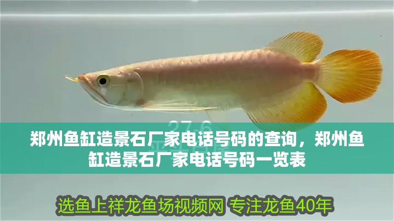 鄭州魚缸造景石廠家電話號碼的查詢，鄭州魚缸造景石廠家電話號碼一覽表