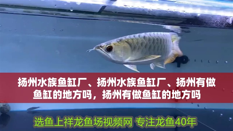 揚州水族魚缸廠、揚州水族魚缸廠、揚州有做魚缸的地方嗎，揚州有做魚缸的地方嗎