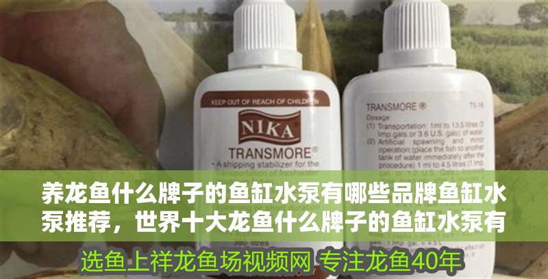 養(yǎng)龍魚什么牌子的魚缸水泵有哪些品牌魚缸水泵推薦，世界十大龍魚什么牌子的魚缸水泵有哪些品牌魚缸推薦