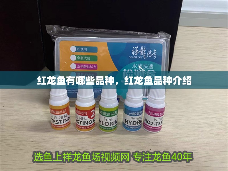 紅龍魚有哪些品種，紅龍魚品種介紹