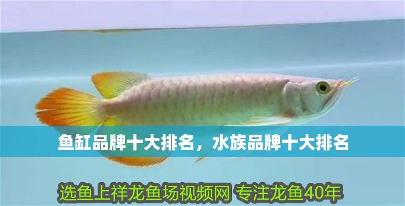 魚缸品牌十大排名，水族品牌十大排名