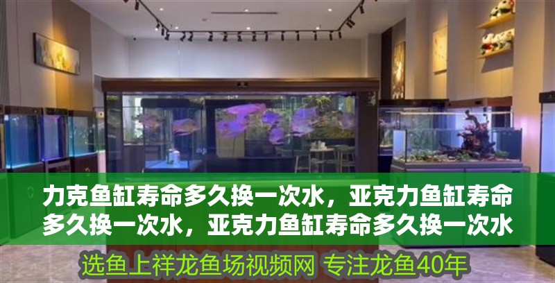 力克魚缸壽命多久換一次水，亞克力魚缸壽命多久換一次水，亞克力魚缸壽命多久換一次水，
