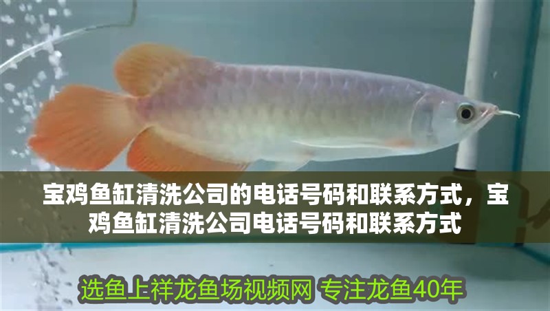寶雞魚缸清洗公司的電話號碼和聯系方式，寶雞魚缸清洗公司電話號碼和聯系方式
