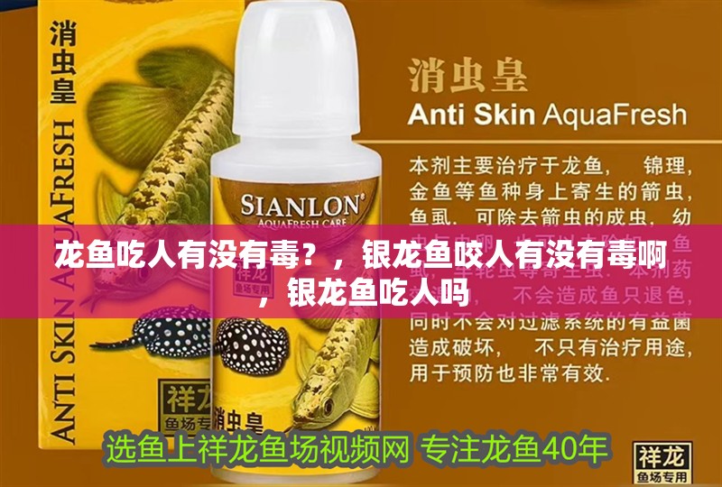龍魚吃人有沒有毒？，銀龍魚咬人有沒有毒啊，銀龍魚吃人嗎