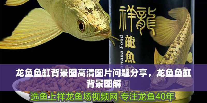龍魚(yú)魚(yú)缸背景圖高清圖片問(wèn)題分享，龍魚(yú)魚(yú)缸背景圖解