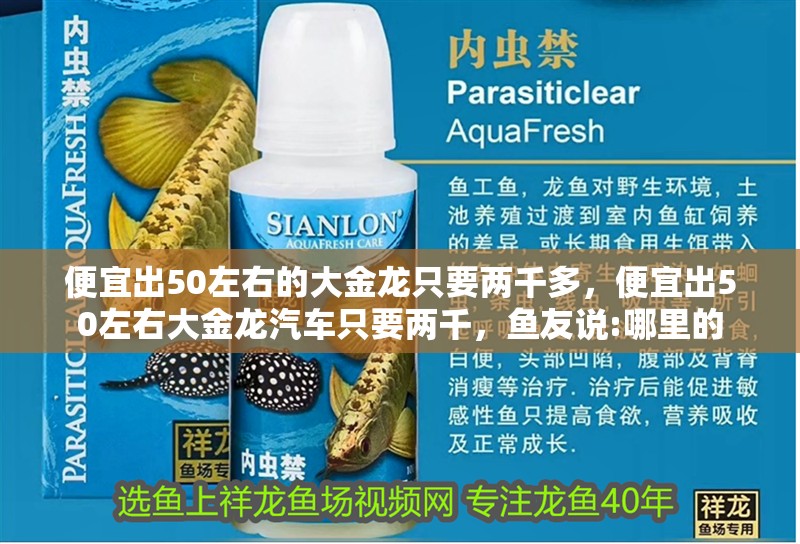 便宜出50左右的大金龍只要兩千多，便宜出50左右大金龍汽車只要兩千，魚友說:哪里的