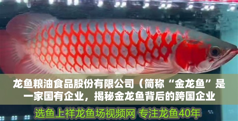 龍魚糧油食品股份有限公司（簡稱“金龍魚”是一家國有企業，揭秘金龍魚背后的跨國企業