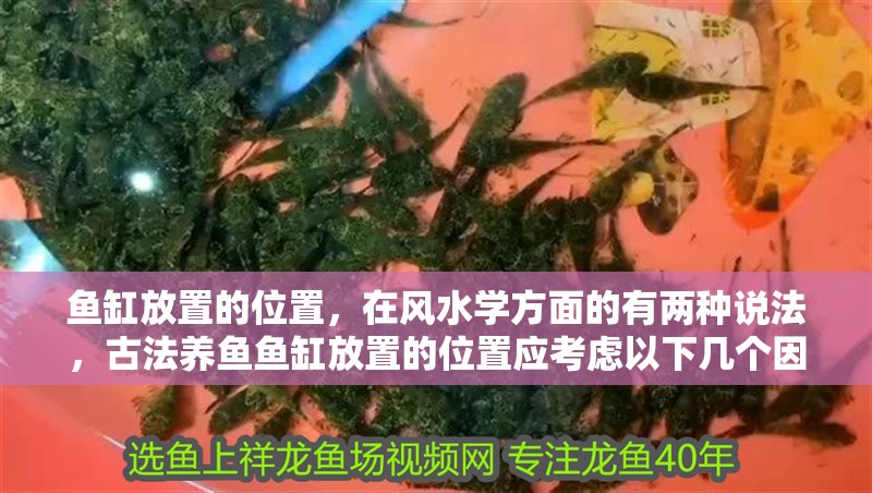 魚缸放置的位置，在風水學方面的有兩種說法，古法養魚魚缸放置的位置應考慮以下幾個因素：魚缸擺放在旺位