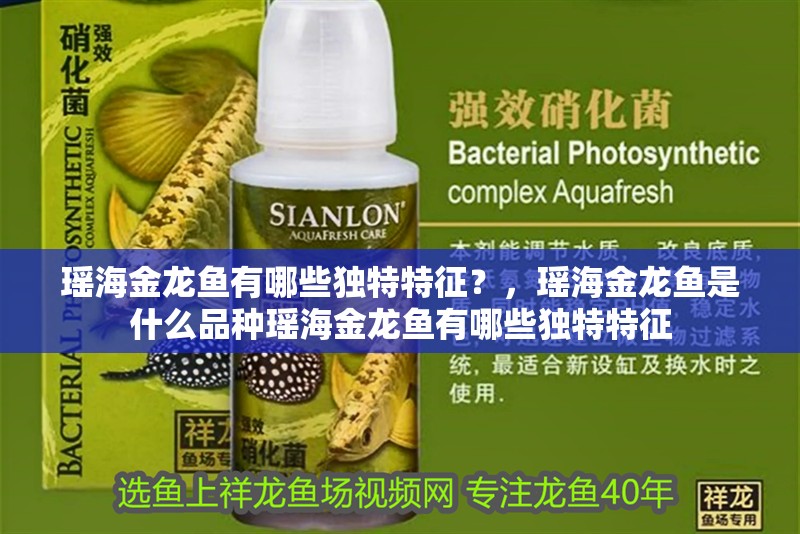 瑤海金龍魚有哪些獨特特征？，瑤海金龍魚是什么品種瑤海金龍魚有哪些獨特特征