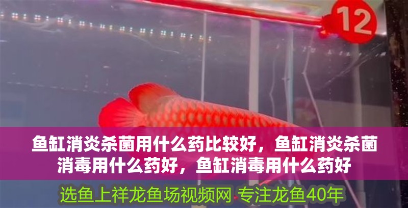 魚缸消炎殺菌用什么藥比較好，魚缸消炎殺菌消毒用什么藥好，魚缸消毒用什么藥好