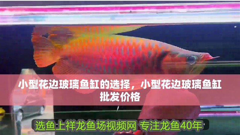 小型花邊玻璃魚缸的選擇，小型花邊玻璃魚缸批發價格