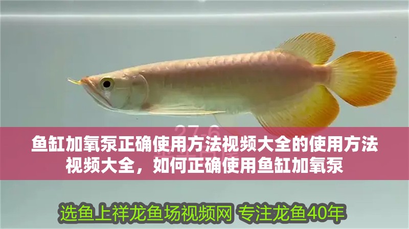 魚缸加氧泵正確使用方法視頻大全的使用方法視頻大全，如何正確使用魚缸加氧泵
