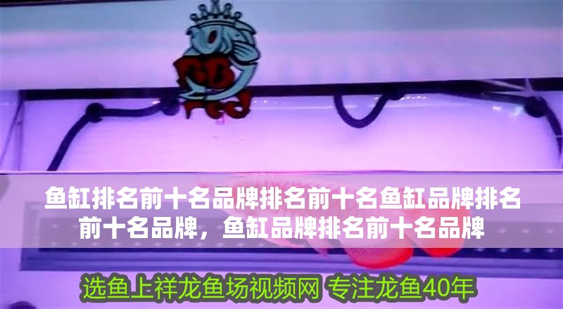 魚缸排名前十名品牌排名前十名魚缸品牌排名前十名品牌，魚缸品牌排名前十名品牌