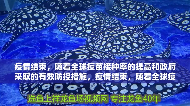 疫情結束，隨著全球疫苗接種率的提高和政府采取的有效防控措施，疫情結束，隨著全球疫苗接種率的提高