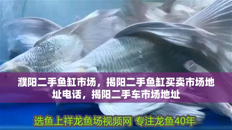 濮陽二手魚缸市場，揭陽二手魚缸買賣市場地址電話，揭陽二手車市場地址