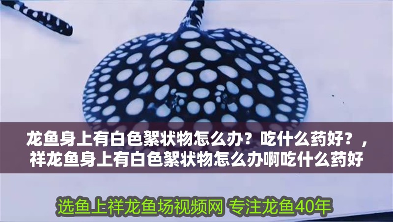 龍魚身上有白色絮狀物怎么辦？吃什么藥好？，祥龍魚身上有白色絮狀物怎么辦啊吃什么藥好吃什么藥好
