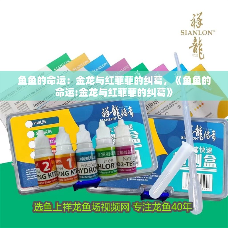 魚(yú)魚(yú)的命運(yùn)：金龍與紅菲菲的糾葛，《魚(yú)魚(yú)的命運(yùn):金龍與紅菲菲的糾葛》