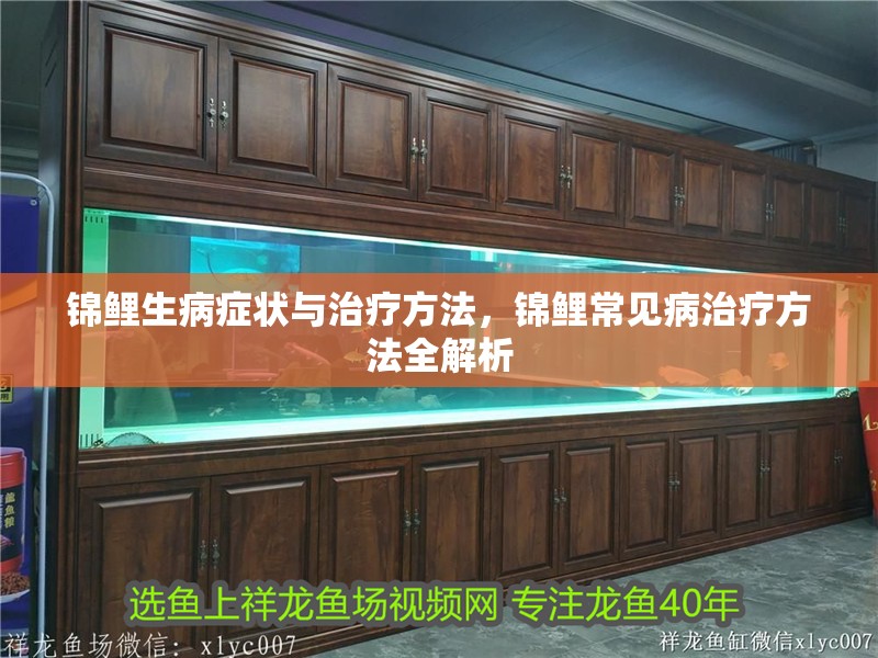 錦鯉生病癥狀與治療方法，錦鯉常見病治療方法全解析