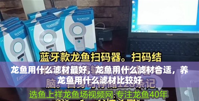 龍魚用什么濾材最好，龍魚用什么濾材合適，養龍魚用什么濾材比較好