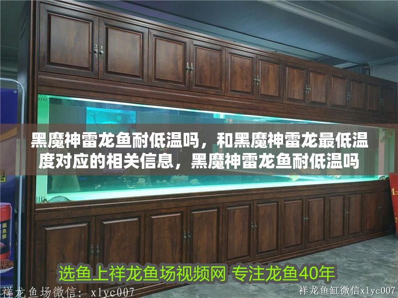 黑魔神雷龍魚耐低溫嗎，和黑魔神雷龍最低溫度對應的相關信息，黑魔神雷龍魚耐低溫嗎