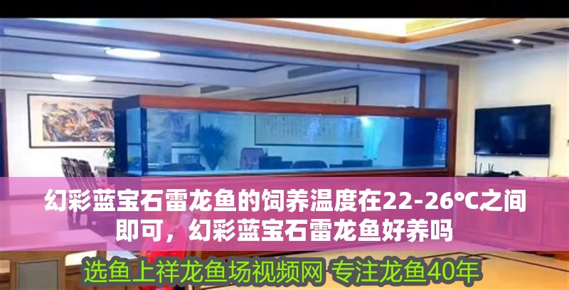 幻彩藍(lán)寶石雷龍魚的飼養(yǎng)溫度在22-26℃之間即可，幻彩藍(lán)寶石雷龍魚好養(yǎng)嗎
